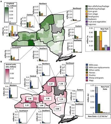 New York state, regional and county level nitrogen and phosphorus balances for harvested cropland
